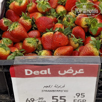 фото из отзыва ID 2669838