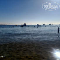 фото из отзыва ID 2669838