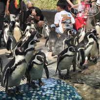 фото из отзыва ID 2669900