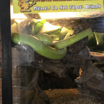 фото из отзыва ID 2669900