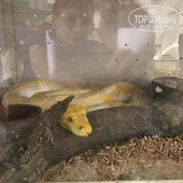 фото из отзыва ID 2669900