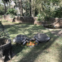 фото из отзыва ID 2669900