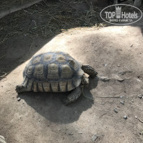 фото из отзыва ID 2669900