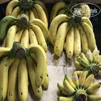 фото из отзыва ID 2669900