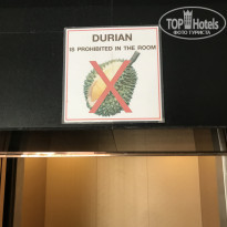 фото из отзыва ID 2669900