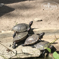 фото из отзыва ID 2669900