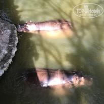 фото из отзыва ID 2669900