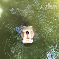 фото из отзыва ID 2669900