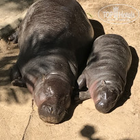 фото из отзыва ID 2669900