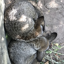 фото из отзыва ID 2669900