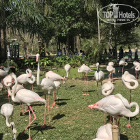 фото из отзыва ID 2669900