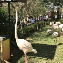 фото из отзыва ID 2669900