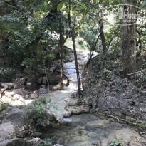 фото из отзыва ID 2669900