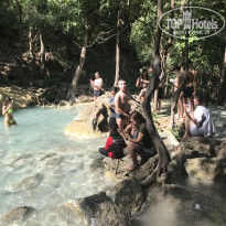 фото из отзыва ID 2669900