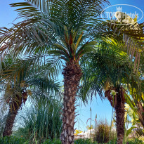 фото из отзыва ID 2665763