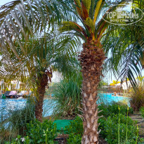 фото из отзыва ID 2665763