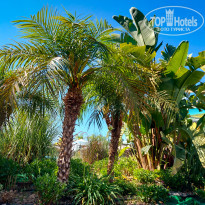 фото из отзыва ID 2665763