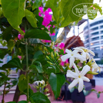 фото из отзыва ID 2665763