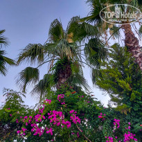 фото из отзыва ID 2665763