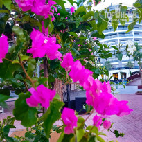 фото из отзыва ID 2665763