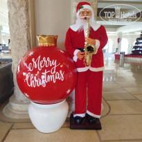 фото из отзыва ID 2668260