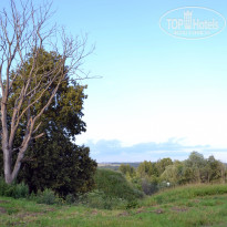 фото из отзыва ID 2663861