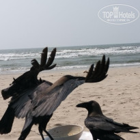 фото из отзыва ID 2670018