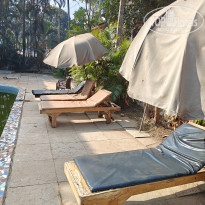 фото из отзыва ID 2670032