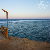 фото из отзыва ID 2670052