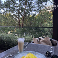 фото из отзыва ID 2670095