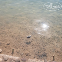 фото из отзыва ID 2670099