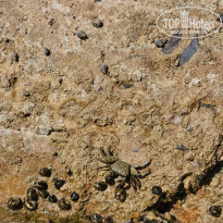 фото из отзыва ID 2670099