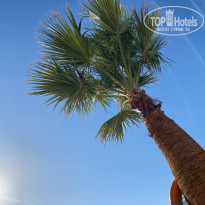 фото из отзыва ID 2670132