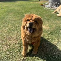 фото из отзыва ID 2670158