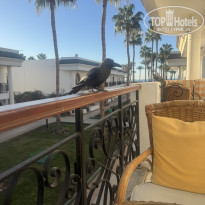 фото из отзыва ID 2670158