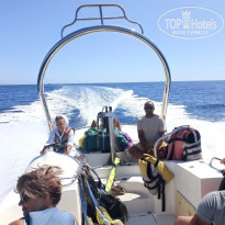 фото из отзыва ID 2670177