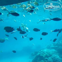 фото из отзыва ID 2670177