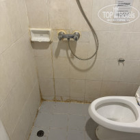 фото из отзыва ID 2670193