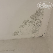 фото из отзыва ID 2670193