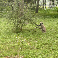 фото из отзыва ID 2670220