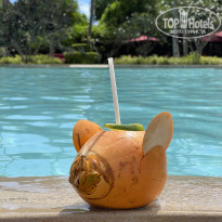 фото из отзыва ID 2670220