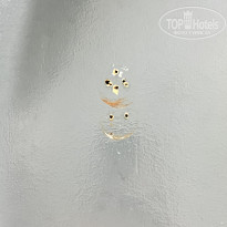 фото из отзыва ID 2670281