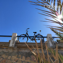 фото из отзыва ID 2670295