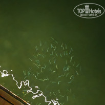 фото из отзыва ID 2670300