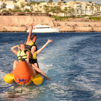 фото из отзыва ID 2670318