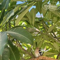 фото из отзыва ID 2670318