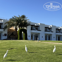 фото из отзыва ID 2670318