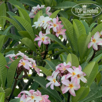 фото из отзыва ID 2670361