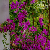фото из отзыва ID 2670368