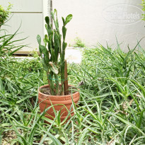 фото из отзыва ID 2670368